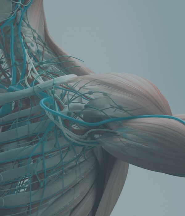 Anatomia Funcional do Ombro